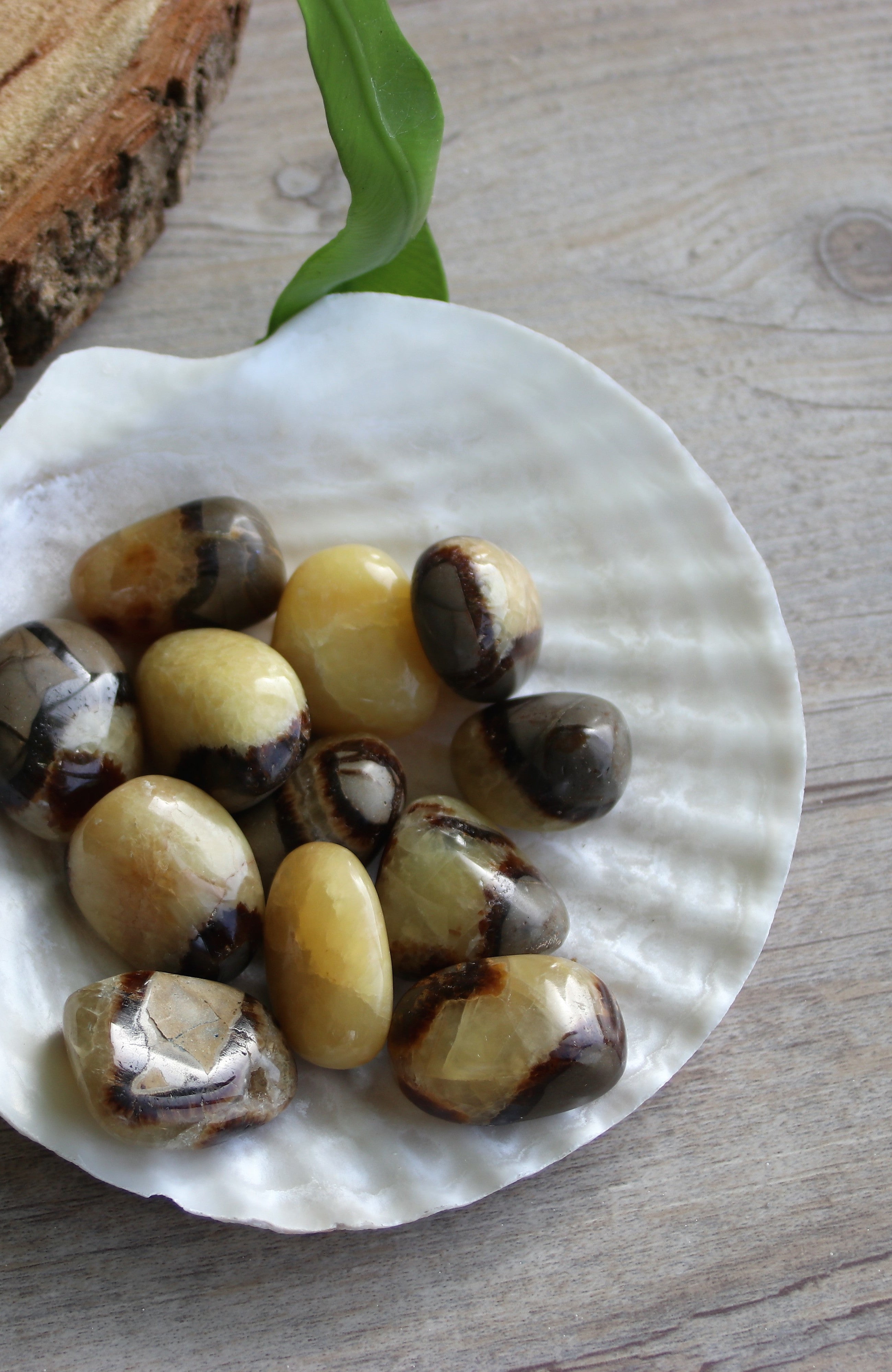 Septarian Stone  (aka Dragon Stone) Tumbled Stone